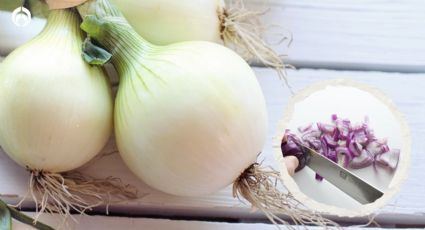 ¿La cebolla va en el refrigerador o no? Quizá lo estás haciendo mal