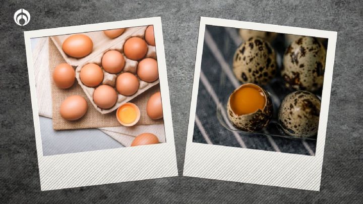 Huevos de codorniz vs. de gallina: ¿Cuáles son más saludables?