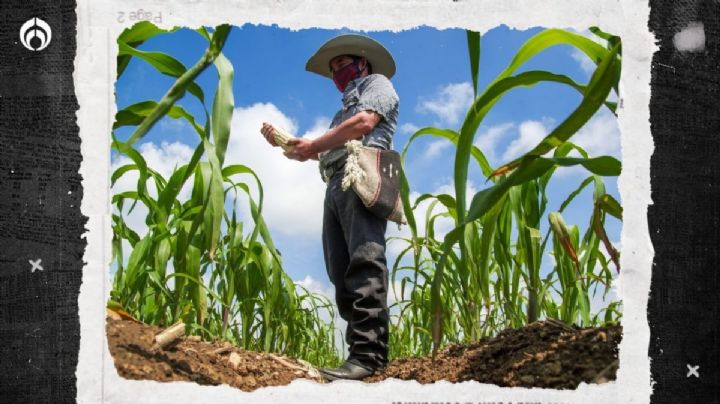 Además de Notimex: 4T eliminará Financiera Rural y la oposición ya lo condenó