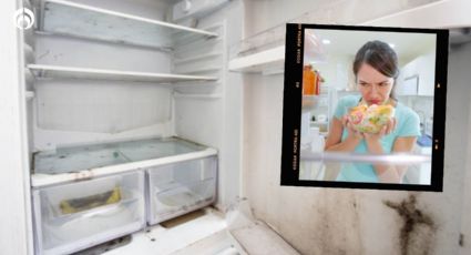 ¿Cómo eliminar el hongo de mi refrigerador fácil y rápido?