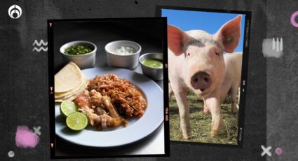 ¿De qué están hechas las carnitas? No las volverás a comer otra vez