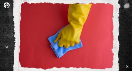 Guantes de latex: estos son los que no presentan tallas correctas, según Profeco