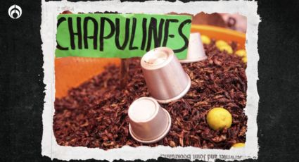 ¿Qué tan saludable es comer chapulines? No es lo que piensas