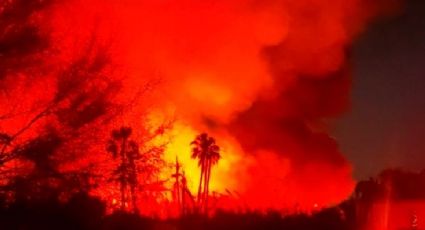 Fuerte incendio está fuera de control en el Estero de San José del Cabo