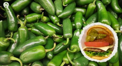 ¿Qué tan buenos son los chiles de la marca La Morena? Esto dice Profeco