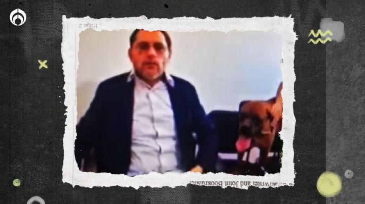 ¡'El Chato' hace historia! Es el primer perrito en participar en audiencia judicial en México