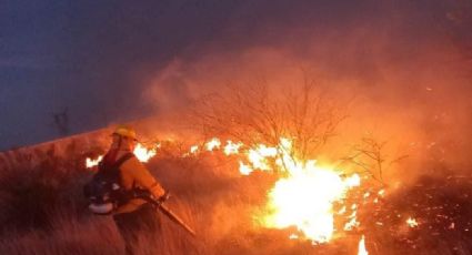 Preparan proyecto antincendios forestales en Sonora