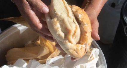 Guajolotas: ¿Qué tan saludables son las tortas de tamal? Vas a querer dejar de comerlas