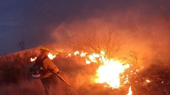 Preparan proyecto antincendios forestales en Sonora