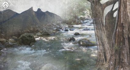 El Río La Silla: el pulmón y tesoro de la naturaleza en Nuevo León