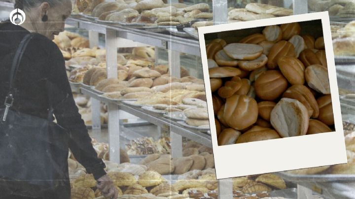 Noooo, con los bolillos no: ¿Es saludable comerse el migajón del pan?