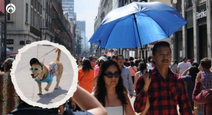 Calorón en CDMX: activan alerta en 9 alcaldías por temperaturas de hasta 30 grados