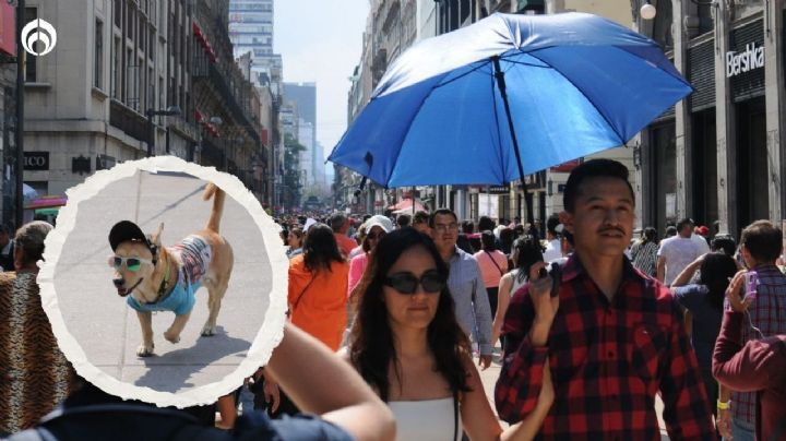 Calorón en CDMX: activan alerta en 9 alcaldías por temperaturas de hasta 30 grados