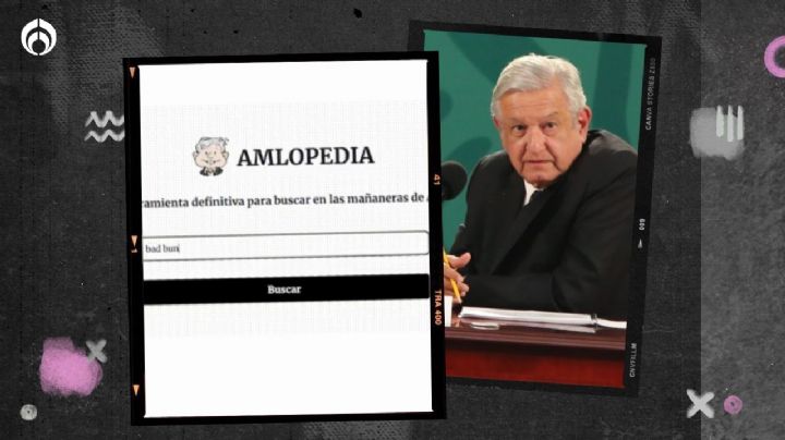 ¿Te perdiste la mañanera? Llega la Amlopedia para buscar datos de la conferencia