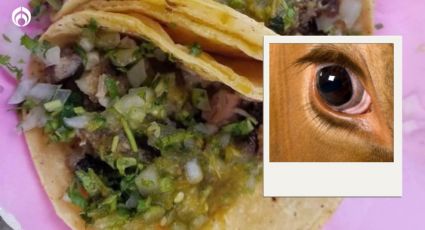 ¿De qué animal están hechos los tacos de ojo?