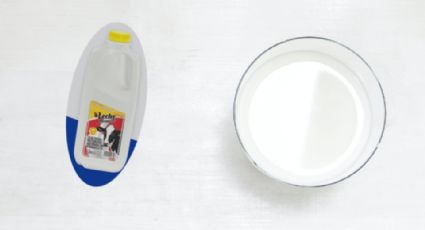 ¿Qué tan buena es la leche Monarca? Esto dice Profeco