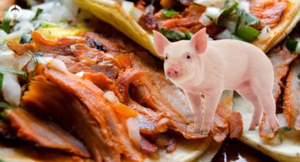 ¿De qué parte del cerdo se sacan los tacos al pastor?