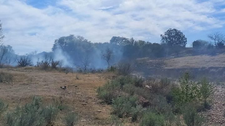 Aumentan a 36 los incendios forestales en Sonora: Protección Civil