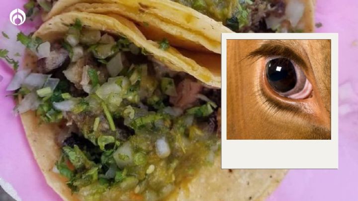 ¿De qué animal están hechos los tacos de ojo?