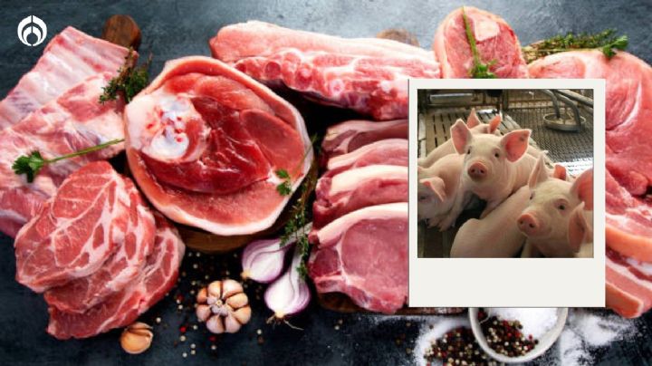 ¿Cuál es la carne de cerdo más saludable? Una experta lo revela