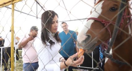 ¿Un caballo por una moto? con la reconversión comercial salvan animales y obtienes transporte