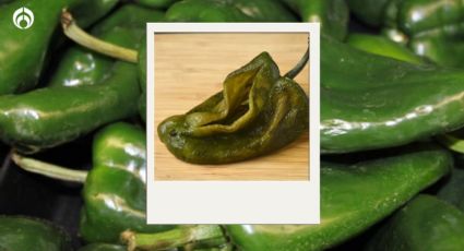 ¿Cuál es la manera correcta de pelar los chiles poblanos? Famoso chef lo revela