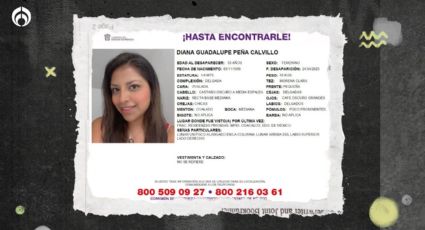 Caso Diana Peña: Esto sabemos de la desaparición de la joven en una autopista de Edomex