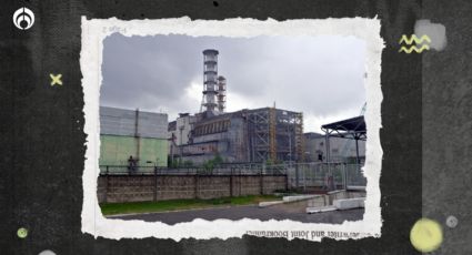 Perritos radioactivos de Chernobyl… nadie sabe cómo han vivido tanto