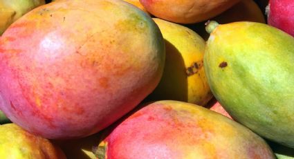 El truco casero para madurar mangos en poco tiempo