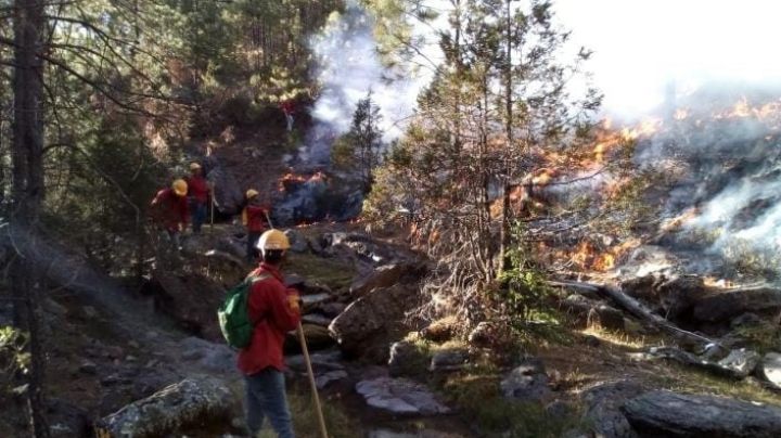 Semana Santa 2023: incendios forestales alertan; autoridades piden respeto a flora y fauna
