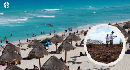 Semana Santa 2023: Playas bonitas y libres de sargazo en Quintana Roo