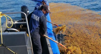 Semana Santa 2023: retiran más de tres mil toneladas de sargazo en Quintana Roo