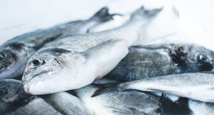 ¿Por qué se tiene que comer pescado en Semana Santa? Esta es la razón