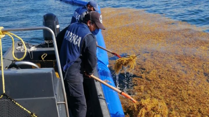 Semana Santa 2023: retiran más de tres mil toneladas de sargazo en Quintana Roo