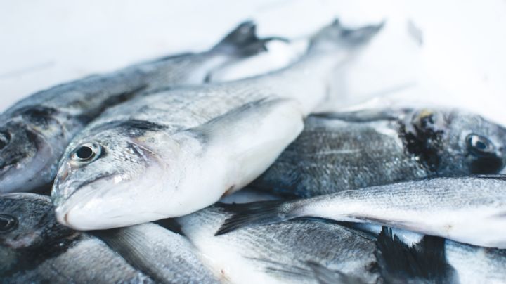 ¿Por qué se tiene que comer pescado en Semana Santa? Esta es la razón