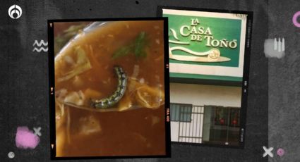 Hallazgo repugnante: compra pozole de la Casa de Toño…  ¡y le sale un gusano!