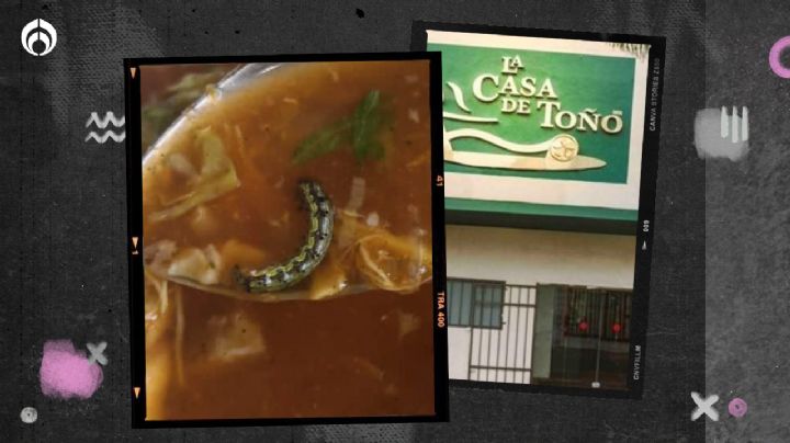 Hallazgo repugnante: compra pozole de la Casa de Toño…  ¡y le sale un gusano!