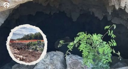 Tren Maya: ¿cuál es la cueva Dama Blanca que acusan que está en riesgo? (FOTOS)