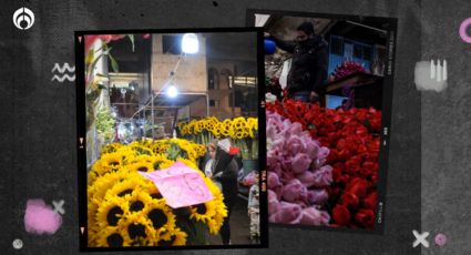 Día de las Madres: ¿Te dieron un ramo buchón? Esto puedes hacer para que tus flores duren más