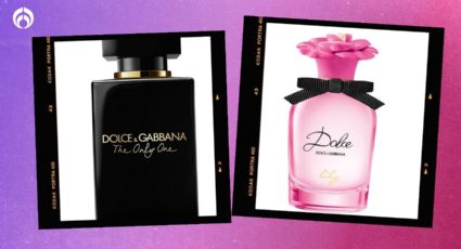 Los perfumes más elegantes de Dolce & Gabanna ¡los usa la clase alta!