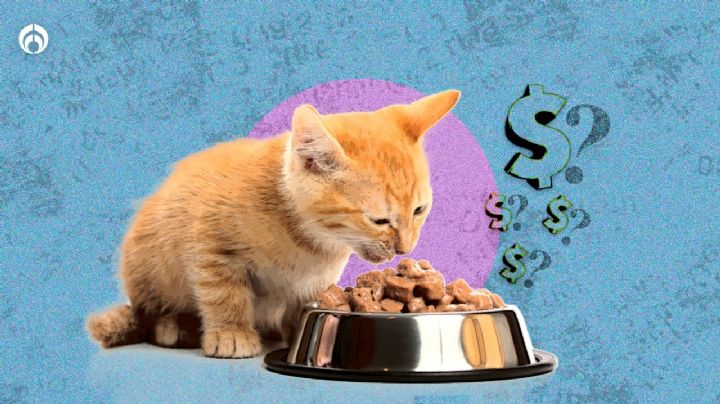 Y a todo esto, ¿Sí es más barato comer comida para gatos como dijo el senador John Kennedy?