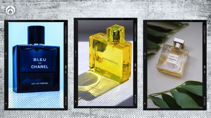 Los 5 perfumes de Fraiche que NO debes usar porque atraen a los mosquitos