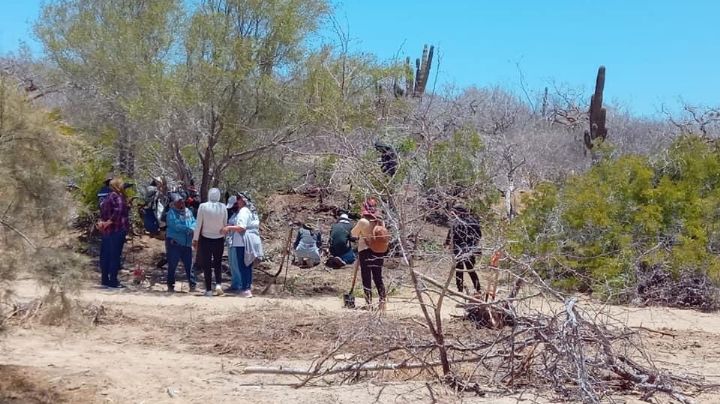 Colectivo halla osamenta en Todos Santos; piden acercarse a ellos en busca de orientación