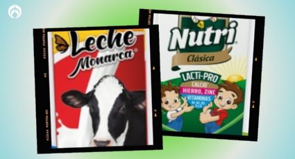 Leche Nutri vs. Monarca: ¿cuál es mejor según Profeco?