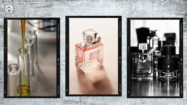 Los 4 perfumes de Fraiche más duraderos (de hombre y mujer)