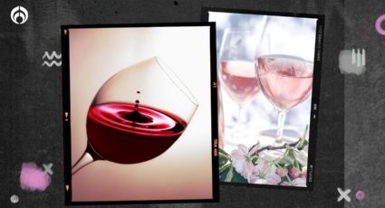 Vino tinto vs. vino rosado: ¿en qué son diferentes y cuál es más rico?