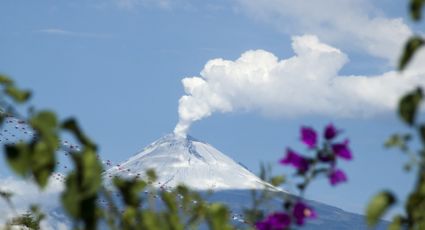 ¿Por qué la ceniza del Popocatépetl es buena para tus plantas?