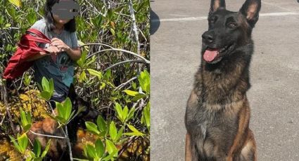 Conoce a 'Yeik', perro rescatista que ubicó a una menor pérdida en la selva de Quintana Roo