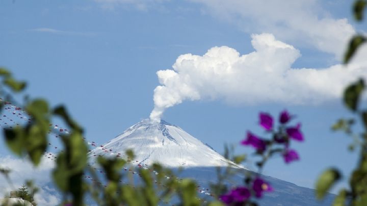 ¿Por qué la ceniza del Popocatépetl es buena para tus plantas?