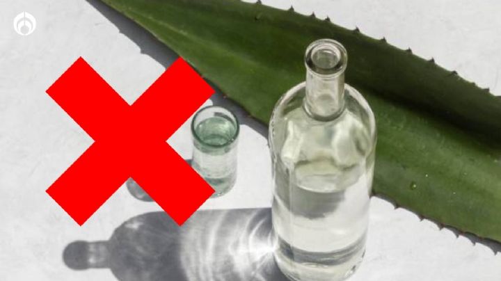 Estos son los 3 mezcales que no debes comprar, según Profeco